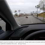 Puentes para jabalíes, túneles para anfibios y autopistas rojas: así evolucionan las carreteras para evitar atropellos de animales